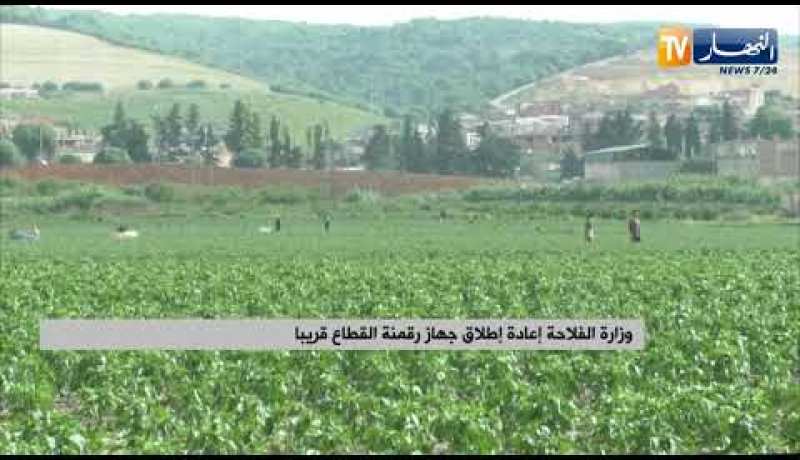 وزارة الفلاحة: إعادة إطلاق جهاز رقمنة القطاع قريبا