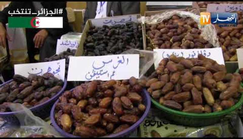 بسكرة: الجزائر تسجل منتوج فلاحي فائض أمام معدلات قليلة للتصدير