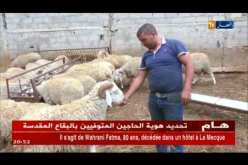 مجتمع: موّالون يبيعون أضاحي العيد بالتقسيط