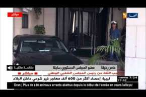 عامر رخيلة: سعيد يحجة سيستسلم وسيستقيل عاجلا أم آجلا