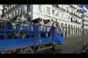 المشاهد الأولى من كواليس الزيارة الميدانية للرئيس بوتفليقة !!