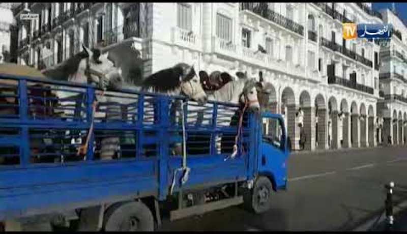 المشاهد الأولى من كواليس الزيارة الميدانية للرئيس بوتفليقة !!