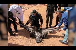 أدرار: العثور على طائر النسر الأبقع “نسر روبل” النادر بمنطقة تيديكلت بأولف