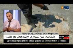 مراد عريف: يفصل أكثر في حملة جمع 800 ألف جلد من جلود الأضاحي أيام العيد