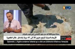 مراد عريف: يفصل أكثر في حملة جمع 800 ألف جلد من جلود الأضاحي أيام العيد