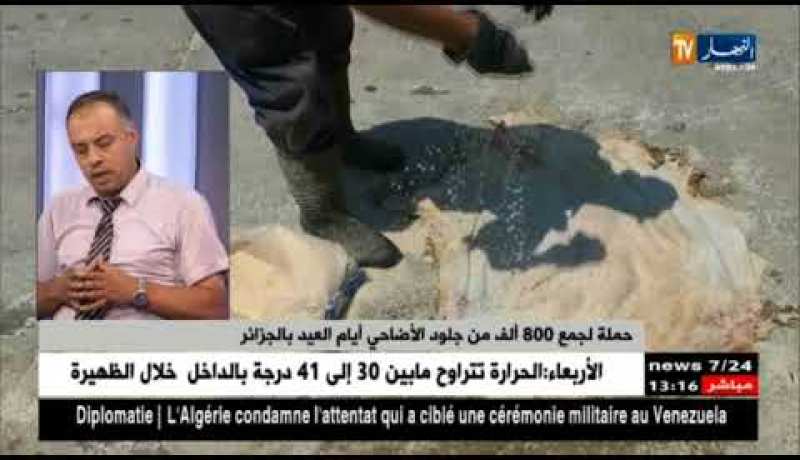 مراد عريف: يفصل أكثر في حملة جمع 800 ألف جلد من جلود الأضاحي أيام العيد