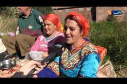 تيزي وزو/ “ماكلة لخلا”…أكلات تقليدية لإستقبال موسم جني الزيتون بمنطقة القبائل