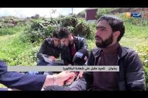 مجتمع: منشطات الذاكرة..إدمان من نوع آخر لمترشحي البكالوريا