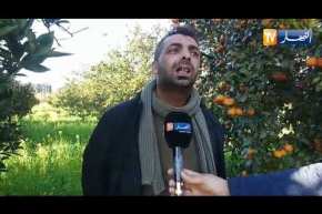 فلّاح من منطقة وادي العلايق بالبليدة يوجه نداء لوزير الفلاحة والصيد البحري