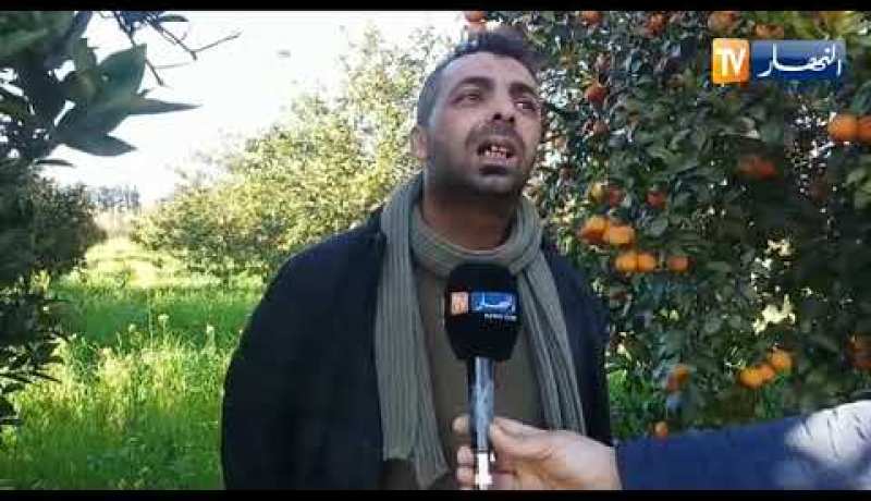 فلّاح من منطقة وادي العلايق بالبليدة يوجه نداء لوزير الفلاحة والصيد البحري