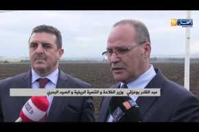 قالمة: وزير الفلاحة..3 سنوات القادمة سنستغني نهائيا على استيراد بذور البطاطا