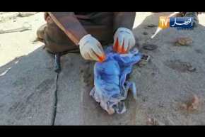 ورقلة: هذا ما عثر عليه الشيخ ابو كنان بمقبرة الصبيان في حملة تطهير المقابر