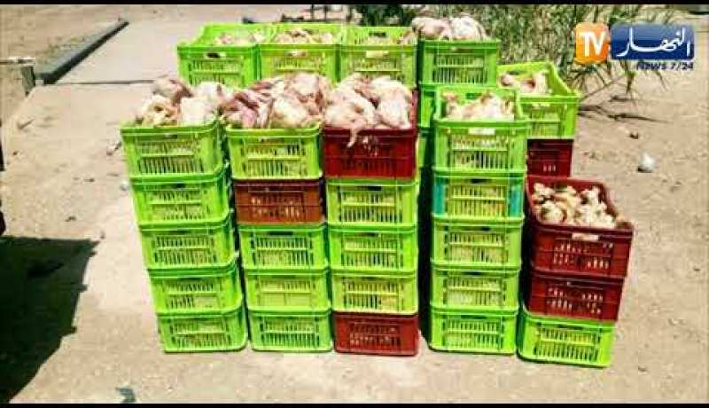 البيض: حجز 08 قناطير من اللحوم البيضاء غير الصالحة للإستهلاك