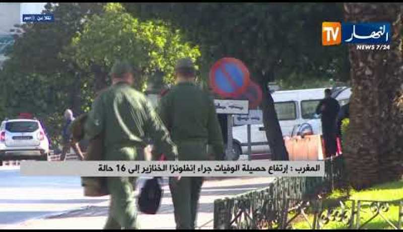 المغرب: إرتفاع حصيلة الوفيات جراء أنفلونزا الخنازير إلى 16 حالة