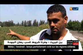 فلاحة: الخضر والفواكه لن تتضرر بمياه السقي الملوثة