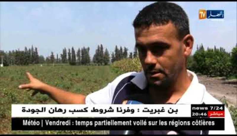 فلاحة: الخضر والفواكه لن تتضرر بمياه السقي الملوثة