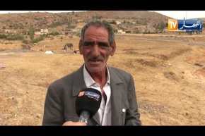 المسيلة: مجهولون يقومون بذبح 58 رأس غنم في قرية الدريعات بحمام الضلعة