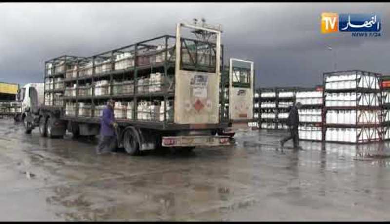 نقاش على المباشر: وزير الفلاحة يطمئن الموالين.. لقاح الطاعون سيصل نهاية الشهر