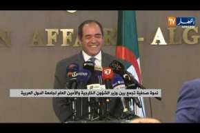 ندوة صحفية تجمع بين وزير الشؤون الخارجية والأمين العام لجامعة الدول العربية