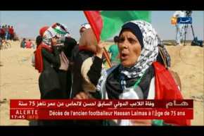 فلسطين المحتلة: 100 يوم من مسيرات العودة.. والكيان الصهيوني عاجز