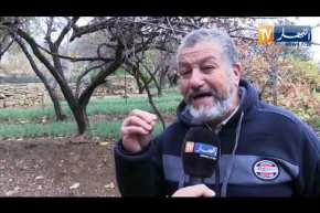 تيسمسيلت: مشتلة تازا .. رئة تغذي الزراعة المحلية