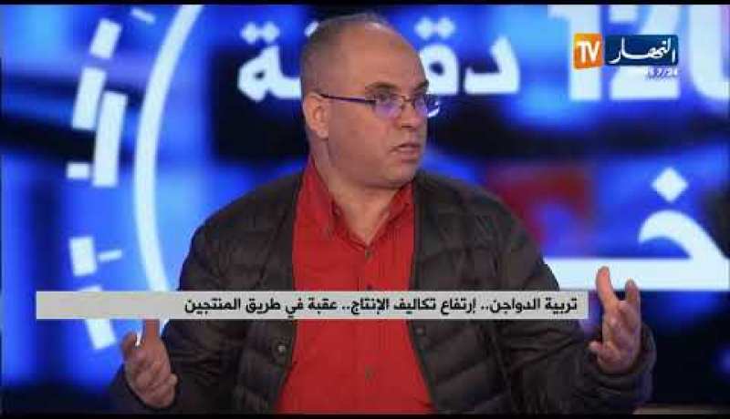 مربي دواجن: سعر الدجاج انخفض بـ 40 دينار .. و سعر الصيصان سينخفض في غضون 20 يوم