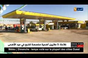 مالية: لو يتم التخلي عن دعم أسعار الوقود والكهرباء.. كيف سيكون أسعارها