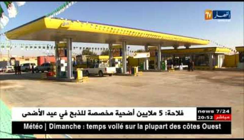 مالية: لو يتم التخلي عن دعم أسعار الوقود والكهرباء.. كيف سيكون أسعارها