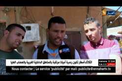 أدرار: إرتفاع في أسعار فاكهة “المانغا” المهربة