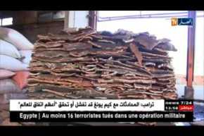 الجزائر في المركز الثالث من حيث الدول المنتجة للفلين و نسبة تصديرها للمادة ضئيل