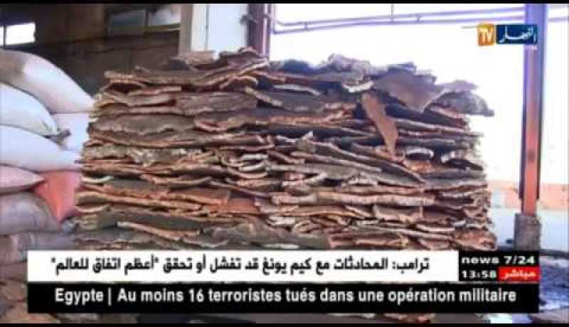 الجزائر في المركز الثالث من حيث الدول المنتجة للفلين و نسبة تصديرها للمادة ضئيل