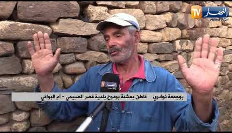 أم البواقي: هكذا يعيش العم “بوجمعة” من أجل البقاء في بيئة ريفية قاسية