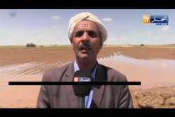تيارت: إنعدام التأمين لدى الفلاحين المتضررين من الإضطراب الجوي