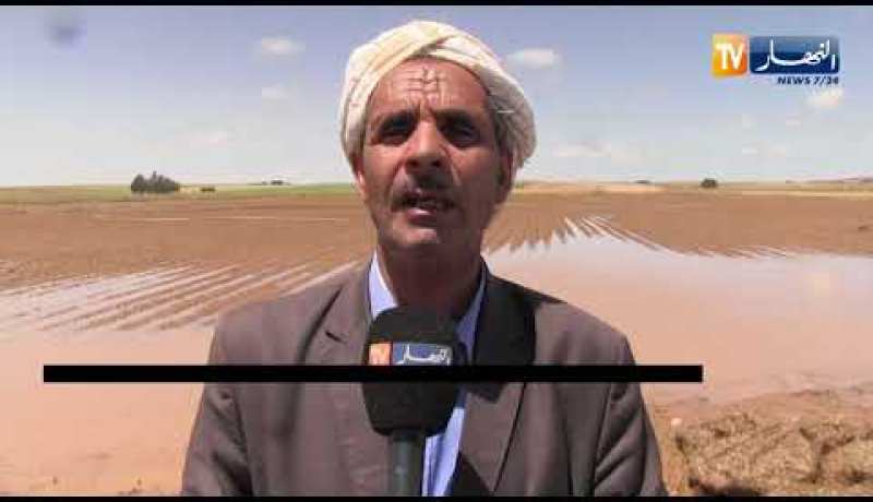 تيارت: إنعدام التأمين لدى الفلاحين المتضررين من الإضطراب الجوي