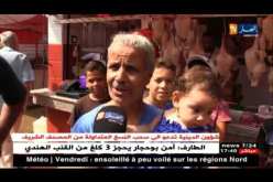 الشارع الرياضي الوهراني يرحب بجمال بلماضي