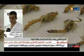 اللسع العقربي يهدد حياة البدو الرحل بتيارت