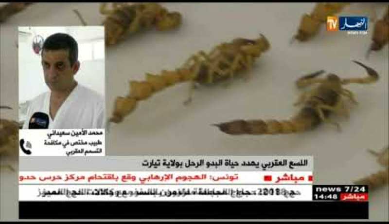 اللسع العقربي يهدد حياة البدو الرحل بتيارت