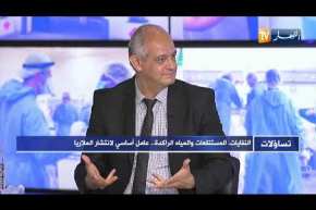 ردم المستنقعات ومكافحة البعوض.. احتياطات وجب اتخاذها لعدم الإصابة بالملاريا