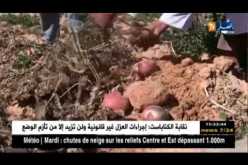 غرداية : نقص مياه السقي والكهرباء يرهن عشرات الهكتارات من الأشجار المثمرة !!