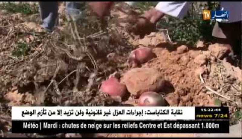 غرداية : نقص مياه السقي والكهرباء يرهن عشرات الهكتارات من الأشجار المثمرة !!