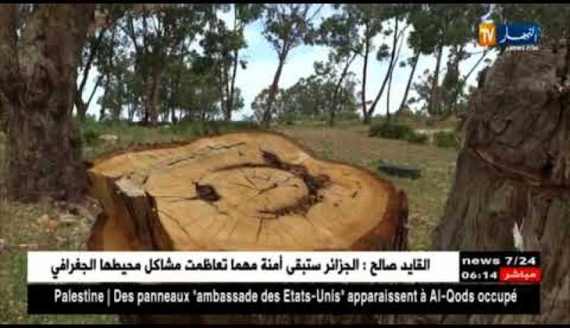 وهران: مجهولون يستولون على مساحة شاسعة من غابة جبل الأسود