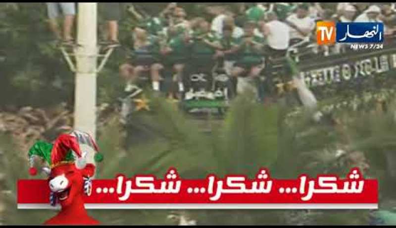 حافلة المنتخب الوطني تصل إلى ساحة أول ماي بالعاصمة وسط جمهور غفير