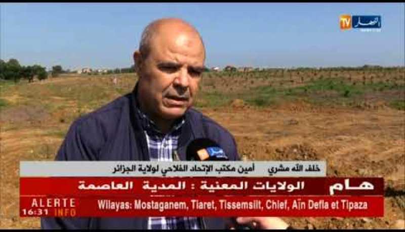 فلاحة: تعليمة لولاة الجمهورية.. تجريم تحويل الأراضي الفلاحية لمشاريع سكنية