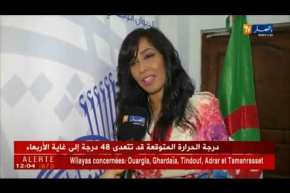 الديوان الوطني للثقافة و الإعلام يعد الجزائريين ببرنامج ثري لصائفة 2018