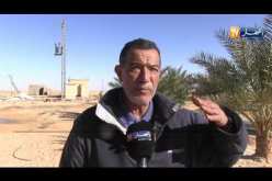 ورقلة: 600 ألف هكتار للفلاحة ومعدلات إنتاج ضعيفة