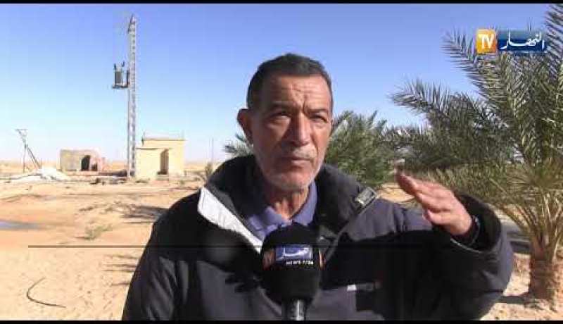 ورقلة: 600 ألف هكتار للفلاحة ومعدلات إنتاج ضعيفة