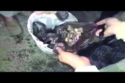شبان يعثرون على حروز وطلاسم مدفونة في رمال شاطئ ليبلاطان في سكيكدة