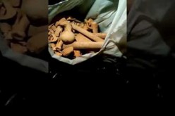 بالفيديو..اكتشاف صندوق مملوء بعظام انسان في أكياس بلاستيكية داخل مدرسة بعنابة