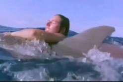 فيديو رائع لدولفين ينقض إمرأة حامل من قرش أبيض