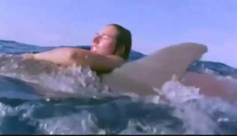 فيديو رائع لدولفين ينقض إمرأة حامل من قرش أبيض
